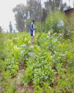 agri-élevage