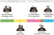 où se situent les pertes