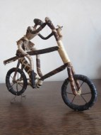 vélo 2014