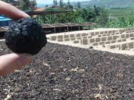 boulettes-bananes combustibles