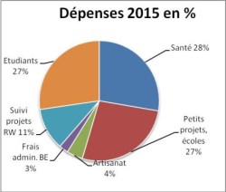 Dépenses 2015 en %