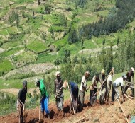 groupements pré-coopératifs